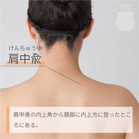 肩中兪 けんちゅうゆ｜ツボの場所と効果｜ツボネット 鍼灸の症例が検索できるツボ辞典