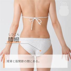 膝根 しつこん｜ツボの場所と効果｜ツボネット 鍼灸の症例が検索できるツボ辞典