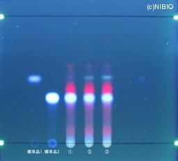 http://mpdb.nibiohn.go.jp/CONTENTS_ROOT/JP_IDENTIFICATION_PHOTO_DATA/JP_IDENTIFICATION_PHOTO_FILE/thumbnail/1238.jpg
