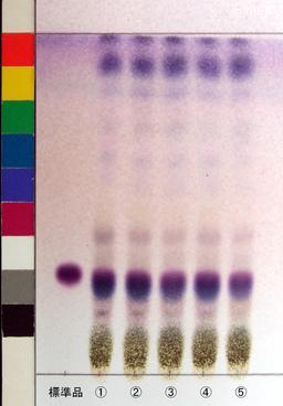 http://mpdb.nibiohn.go.jp/CONTENTS_ROOT/JP_IDENTIFICATION_PHOTO_DATA/JP_IDENTIFICATION_PHOTO_FILE/thumbnail/938.jpg