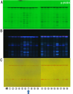 http://mpdb.nibiohn.go.jp/CONTENTS_ROOT/TLC_DATA/TLC_FIG_FILE/thumbnail/786.jpg