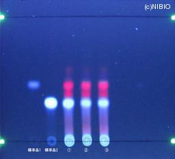 http://mpdb.nibiohn.go.jp/CONTENTS_ROOT/JP_IDENTIFICATION_PHOTO_DATA/JP_IDENTIFICATION_PHOTO_FILE/thumbnail/1239.jpg