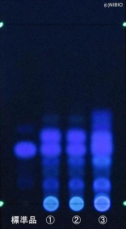 http://mpdb.nibiohn.go.jp/CONTENTS_ROOT/JP_IDENTIFICATION_PHOTO_DATA/JP_IDENTIFICATION_PHOTO_FILE/thumbnail/825.JPG