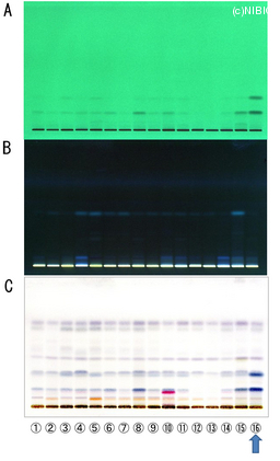 http://mpdb.nibiohn.go.jp/CONTENTS_ROOT/TLC_DATA/TLC_FIG_FILE/thumbnail/752.jpg
