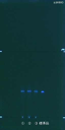 http://mpdb.nibiohn.go.jp/CONTENTS_ROOT/JP_IDENTIFICATION_PHOTO_DATA/JP_IDENTIFICATION_PHOTO_FILE/thumbnail/504.jpg