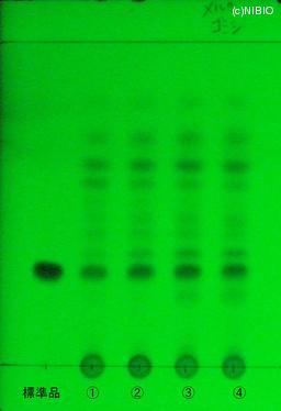 http://mpdb.nibiohn.go.jp/CONTENTS_ROOT/JP_IDENTIFICATION_PHOTO_DATA/JP_IDENTIFICATION_PHOTO_FILE/thumbnail/769.jpg