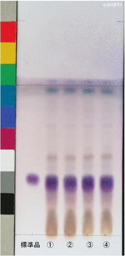http://mpdb.nibiohn.go.jp/CONTENTS_ROOT/JP_IDENTIFICATION_PHOTO_DATA/JP_IDENTIFICATION_PHOTO_FILE/thumbnail/939.jpg