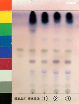 http://mpdb.nibiohn.go.jp/CONTENTS_ROOT/JP_IDENTIFICATION_PHOTO_DATA/JP_IDENTIFICATION_PHOTO_FILE/thumbnail/1313.jpg