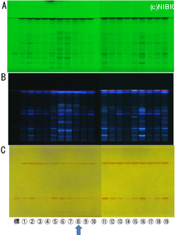 http://mpdb.nibiohn.go.jp/CONTENTS_ROOT/TLC_DATA/TLC_FIG_FILE/thumbnail/787.jpg