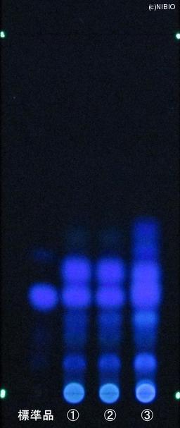 http://mpdb.nibiohn.go.jp/CONTENTS_ROOT/JP_IDENTIFICATION_PHOTO_DATA/JP_IDENTIFICATION_PHOTO_FILE/thumbnail/826.JPG