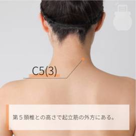 C5(3) ｜ツボの場所と効果｜ツボネット 鍼灸の症例が検索できるツボ辞典