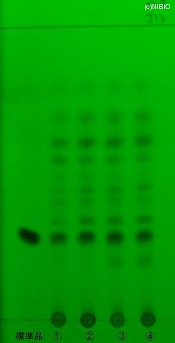 http://mpdb.nibiohn.go.jp/CONTENTS_ROOT/JP_IDENTIFICATION_PHOTO_DATA/JP_IDENTIFICATION_PHOTO_FILE/thumbnail/770.jpg