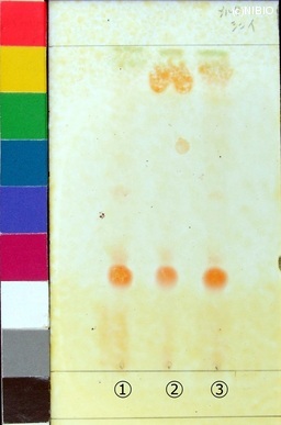 http://mpdb.nibiohn.go.jp/CONTENTS_ROOT/JP_IDENTIFICATION_PHOTO_DATA/JP_IDENTIFICATION_PHOTO_FILE/thumbnail/213.jpg