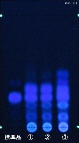 http://mpdb.nibiohn.go.jp/CONTENTS_ROOT/JP_IDENTIFICATION_PHOTO_DATA/JP_IDENTIFICATION_PHOTO_FILE/thumbnail/827.JPG
