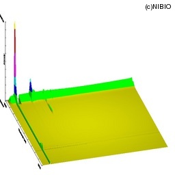 http://mpdb.nibiohn.go.jp/CONTENTS_ROOT/LCGC_DATA/THREE_D_IMAGE_FILE/thumbnail/770.jpg