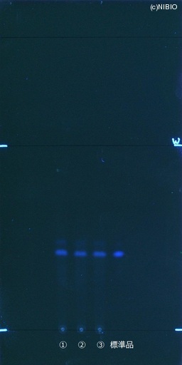 http://mpdb.nibiohn.go.jp/CONTENTS_ROOT/JP_IDENTIFICATION_PHOTO_DATA/JP_IDENTIFICATION_PHOTO_FILE/thumbnail/506.jpg