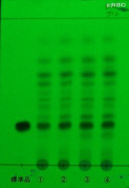 http://mpdb.nibiohn.go.jp/CONTENTS_ROOT/JP_IDENTIFICATION_PHOTO_DATA/JP_IDENTIFICATION_PHOTO_FILE/thumbnail/771.jpg
