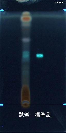 http://mpdb.nibiohn.go.jp/CONTENTS_ROOT/JP_IDENTIFICATION_PHOTO_DATA/JP_IDENTIFICATION_PHOTO_FILE/thumbnail/863.jpg