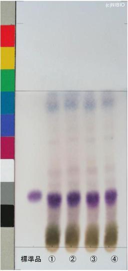 http://mpdb.nibiohn.go.jp/CONTENTS_ROOT/JP_IDENTIFICATION_PHOTO_DATA/JP_IDENTIFICATION_PHOTO_FILE/thumbnail/941.jpg