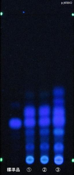 http://mpdb.nibiohn.go.jp/CONTENTS_ROOT/JP_IDENTIFICATION_PHOTO_DATA/JP_IDENTIFICATION_PHOTO_FILE/thumbnail/828.JPG