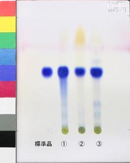 http://mpdb.nibiohn.go.jp/CONTENTS_ROOT/JP_IDENTIFICATION_PHOTO_DATA/JP_IDENTIFICATION_PHOTO_FILE/thumbnail/1065.jpg