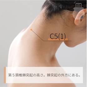 C5(1) ｜ツボの場所と効果｜ツボネット 鍼灸の症例が検索できるツボ辞典