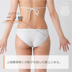 二ノ臀 にのでん｜ツボの場所と効果｜ツボネット 鍼灸の症例が検索できるツボ辞典