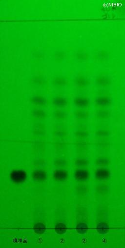 http://mpdb.nibiohn.go.jp/CONTENTS_ROOT/JP_IDENTIFICATION_PHOTO_DATA/JP_IDENTIFICATION_PHOTO_FILE/thumbnail/772.jpg