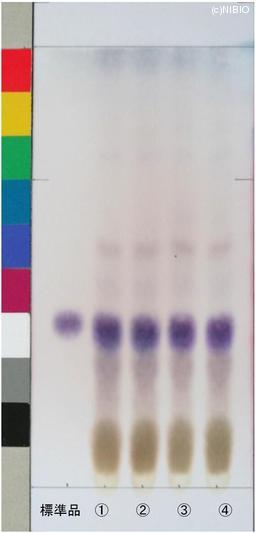 http://mpdb.nibiohn.go.jp/CONTENTS_ROOT/JP_IDENTIFICATION_PHOTO_DATA/JP_IDENTIFICATION_PHOTO_FILE/thumbnail/942.jpg