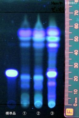 http://mpdb.nibiohn.go.jp/CONTENTS_ROOT/JP_IDENTIFICATION_PHOTO_DATA/JP_IDENTIFICATION_PHOTO_FILE/thumbnail/829.jpg