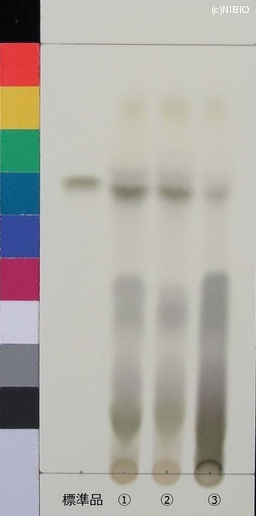 http://mpdb.nibiohn.go.jp/CONTENTS_ROOT/JP_IDENTIFICATION_PHOTO_DATA/JP_IDENTIFICATION_PHOTO_FILE/thumbnail/462.jpg