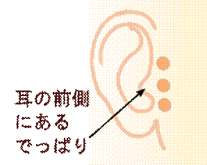 width=