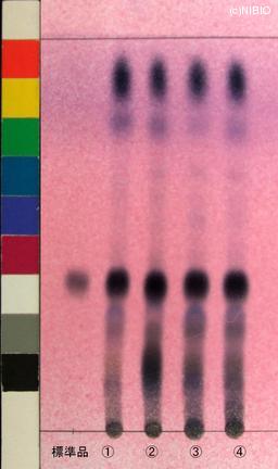 http://mpdb.nibiohn.go.jp/CONTENTS_ROOT/JP_IDENTIFICATION_PHOTO_DATA/JP_IDENTIFICATION_PHOTO_FILE/thumbnail/796.jpg