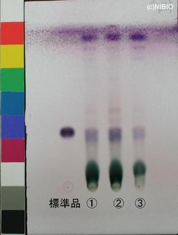http://mpdb.nibiohn.go.jp/CONTENTS_ROOT/JP_IDENTIFICATION_PHOTO_DATA/JP_IDENTIFICATION_PHOTO_FILE/thumbnail/943.jpg