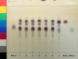 http://mpdb.nibiohn.go.jp/CONTENTS_ROOT/JP_IDENTIFICATION_PHOTO_DATA/JP_IDENTIFICATION_PHOTO_FILE/thumbnail/1143.jpg