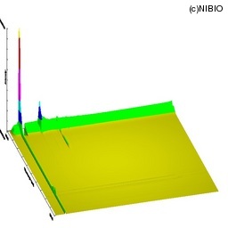 http://mpdb.nibiohn.go.jp/CONTENTS_ROOT/LCGC_DATA/THREE_D_IMAGE_FILE/thumbnail/788.jpg