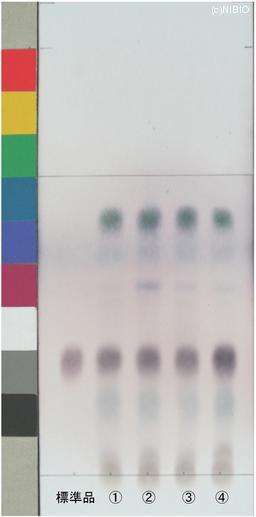 http://mpdb.nibiohn.go.jp/CONTENTS_ROOT/JP_IDENTIFICATION_PHOTO_DATA/JP_IDENTIFICATION_PHOTO_FILE/thumbnail/797.jpg