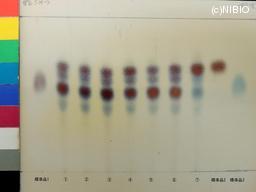 http://mpdb.nibiohn.go.jp/CONTENTS_ROOT/JP_IDENTIFICATION_PHOTO_DATA/JP_IDENTIFICATION_PHOTO_FILE/thumbnail/1144.jpg