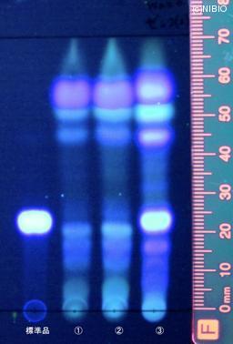 http://mpdb.nibiohn.go.jp/CONTENTS_ROOT/JP_IDENTIFICATION_PHOTO_DATA/JP_IDENTIFICATION_PHOTO_FILE/thumbnail/831.jpg