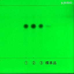 http://mpdb.nibiohn.go.jp/CONTENTS_ROOT/JP_IDENTIFICATION_PHOTO_DATA/JP_IDENTIFICATION_PHOTO_FILE/thumbnail/1213.jpg