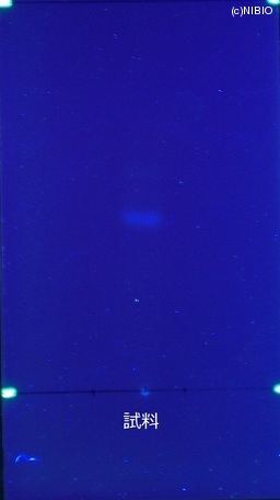 http://mpdb.nibiohn.go.jp/CONTENTS_ROOT/JP_IDENTIFICATION_PHOTO_DATA/JP_IDENTIFICATION_PHOTO_FILE/thumbnail/509.JPG