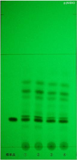 http://mpdb.nibiohn.go.jp/CONTENTS_ROOT/JP_IDENTIFICATION_PHOTO_DATA/JP_IDENTIFICATION_PHOTO_FILE/thumbnail/775.jpg