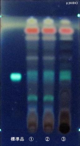 http://mpdb.nibiohn.go.jp/CONTENTS_ROOT/JP_IDENTIFICATION_PHOTO_DATA/JP_IDENTIFICATION_PHOTO_FILE/thumbnail/867.JPG