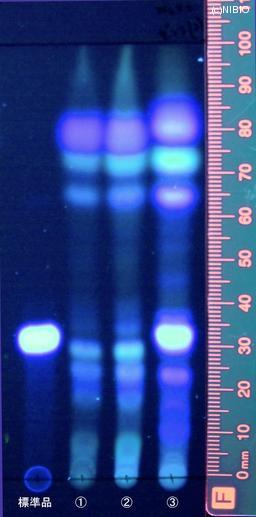 http://mpdb.nibiohn.go.jp/CONTENTS_ROOT/JP_IDENTIFICATION_PHOTO_DATA/JP_IDENTIFICATION_PHOTO_FILE/thumbnail/832.jpg