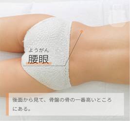 腰眼 ようがん｜ツボの場所と効果｜ツボネット 鍼灸の症例が検索できるツボ辞典