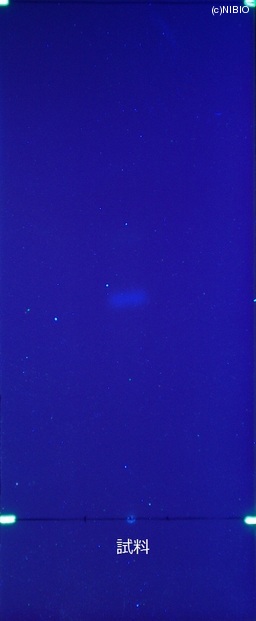 http://mpdb.nibiohn.go.jp/CONTENTS_ROOT/JP_IDENTIFICATION_PHOTO_DATA/JP_IDENTIFICATION_PHOTO_FILE/thumbnail/510.JPG