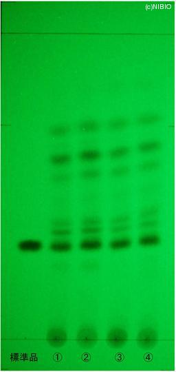 http://mpdb.nibiohn.go.jp/CONTENTS_ROOT/JP_IDENTIFICATION_PHOTO_DATA/JP_IDENTIFICATION_PHOTO_FILE/thumbnail/776.jpg