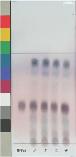http://mpdb.nibiohn.go.jp/CONTENTS_ROOT/JP_IDENTIFICATION_PHOTO_DATA/JP_IDENTIFICATION_PHOTO_FILE/thumbnail/799.jpg