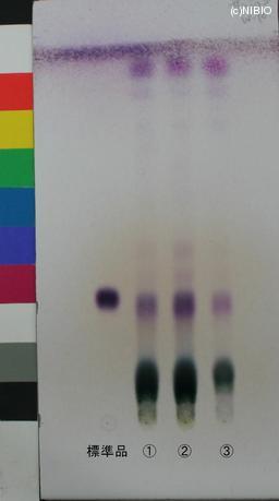 http://mpdb.nibiohn.go.jp/CONTENTS_ROOT/JP_IDENTIFICATION_PHOTO_DATA/JP_IDENTIFICATION_PHOTO_FILE/thumbnail/946.jpg