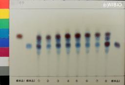 http://mpdb.nibiohn.go.jp/CONTENTS_ROOT/JP_IDENTIFICATION_PHOTO_DATA/JP_IDENTIFICATION_PHOTO_FILE/thumbnail/1146.jpg
